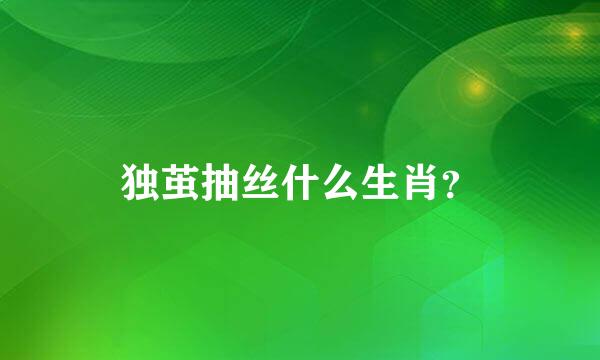 独茧抽丝什么生肖？