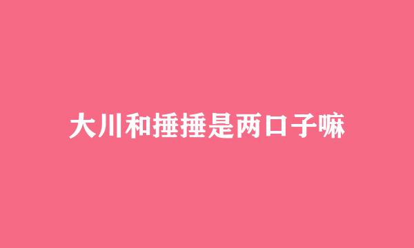 大川和捶捶是两口子嘛