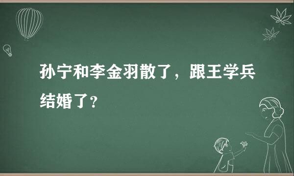 孙宁和李金羽散了，跟王学兵结婚了？