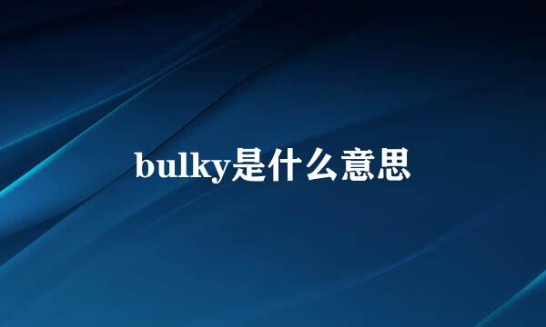 bulky是什么意思