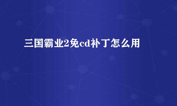 三国霸业2免cd补丁怎么用