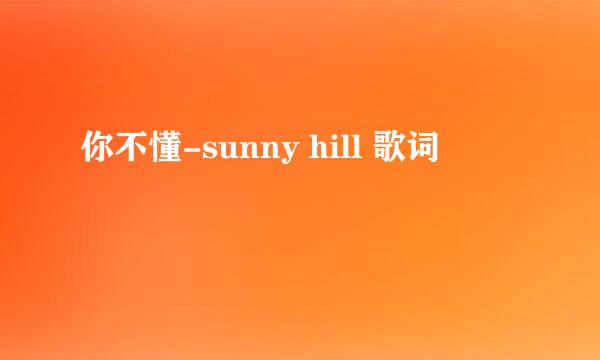 你不懂-sunny hill 歌词