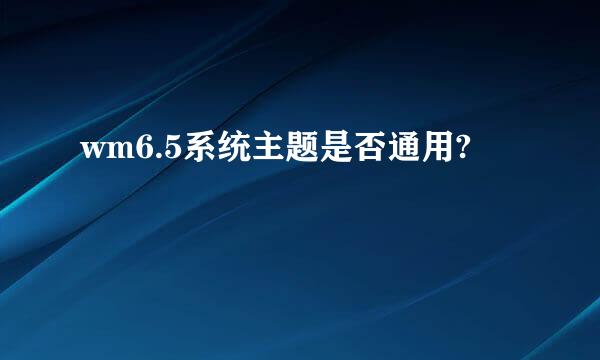 wm6.5系统主题是否通用?