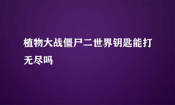 植物大战僵尸二世界钥匙能打无尽吗