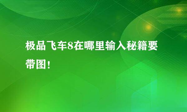 极品飞车8在哪里输入秘籍要带图！