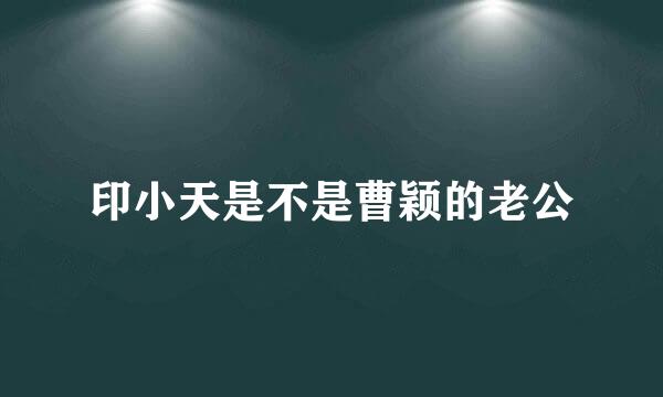 印小天是不是曹颖的老公