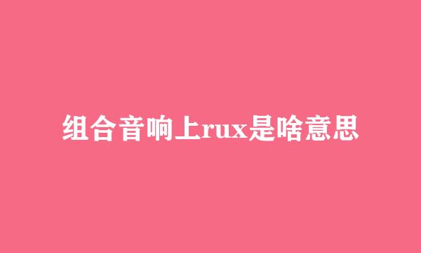 组合音响上rux是啥意思