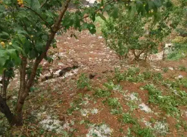 湖北宜昌多地遭暴雨冰雹突袭，城市是否发生了内涝？