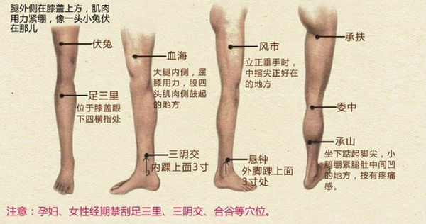 拔罐怎么找穴位