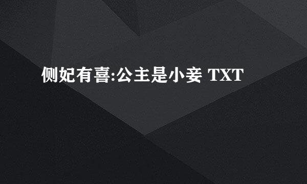 侧妃有喜:公主是小妾 TXT