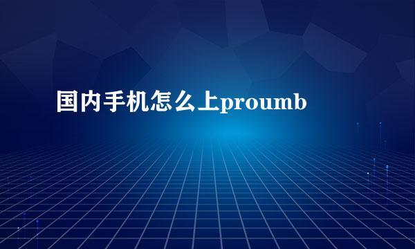 国内手机怎么上proumb