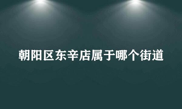 朝阳区东辛店属于哪个街道