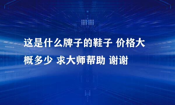 这是什么牌子的鞋子 价格大概多少 求大师帮助 谢谢