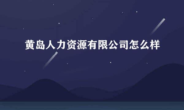 黄岛人力资源有限公司怎么样