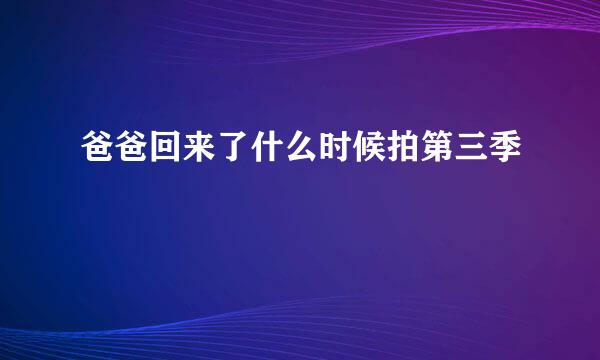 爸爸回来了什么时候拍第三季