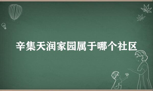 辛集天润家园属于哪个社区