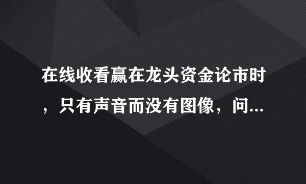 在线收看赢在龙头资金论市时，只有声音而没有图像，问题出在哪里？