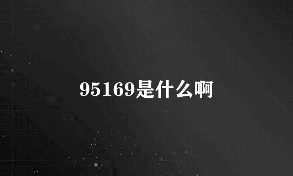 95169是什么啊