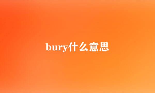 bury什么意思