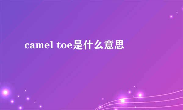 camel toe是什么意思