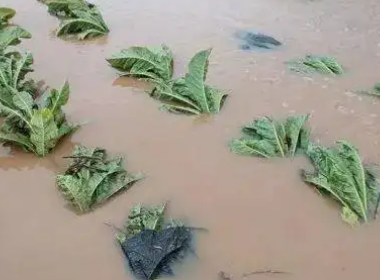 湖北宜昌多地遭暴雨冰雹突袭，城市是否发生了内涝？