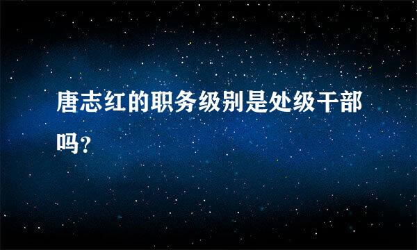 唐志红的职务级别是处级干部吗？