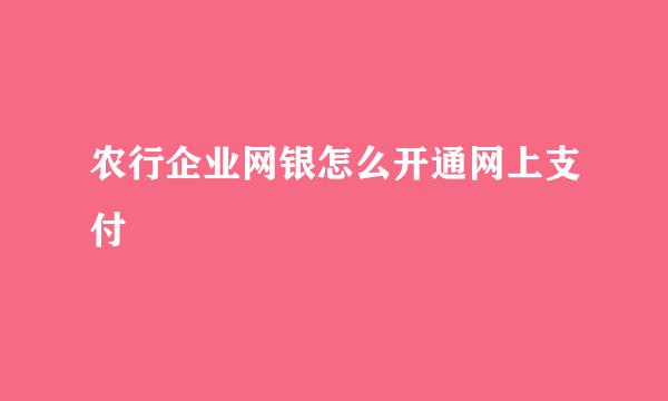 农行企业网银怎么开通网上支付