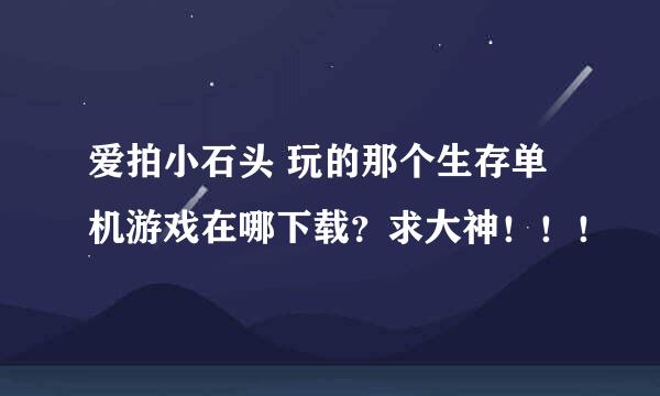 爱拍小石头 玩的那个生存单机游戏在哪下载？求大神！！！