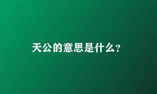 天公的意思是什么？