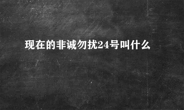 现在的非诚勿扰24号叫什么