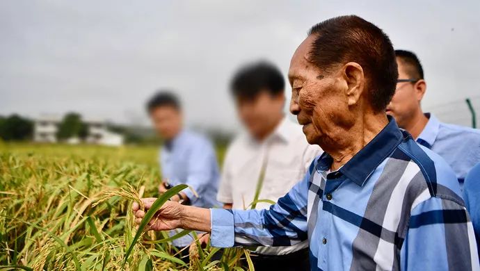 袁隆平名字的由来？