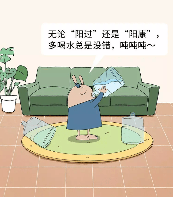 阳康和阳过分别什么意思