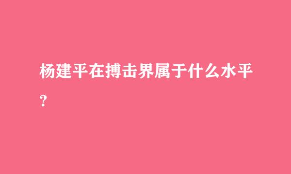 杨建平在搏击界属于什么水平？