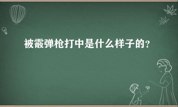 被霰弹枪打中是什么样子的？