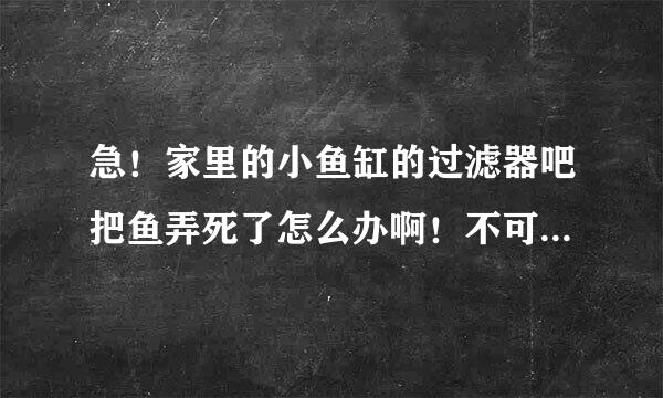 急！家里的小鱼缸的过滤器吧把鱼弄死了怎么办啊！不可能一直这么死下去啊，有什么解决方法么？？