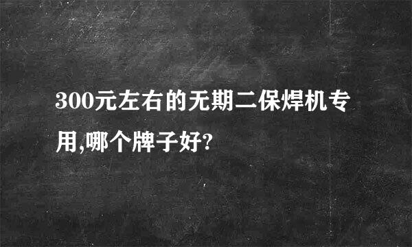 300元左右的无期二保焊机专用,哪个牌子好?