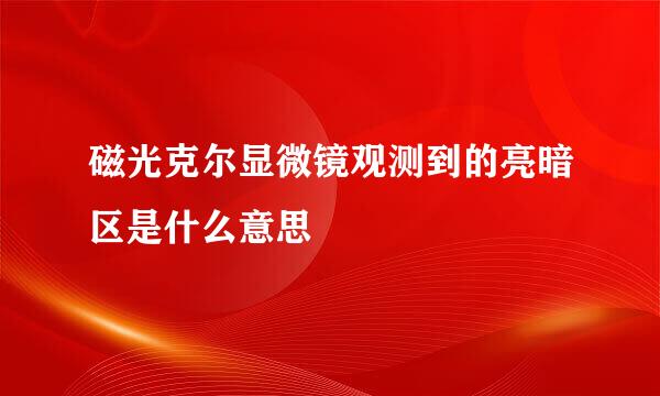 磁光克尔显微镜观测到的亮暗区是什么意思