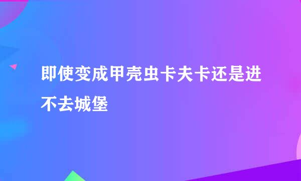 即使变成甲壳虫卡夫卡还是进不去城堡