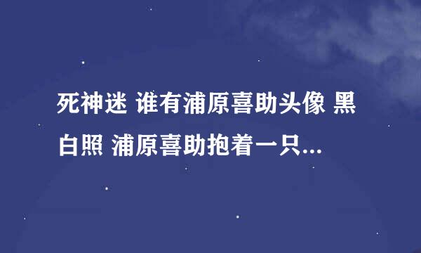 死神迷 谁有浦原喜助头像 黑白照 浦原喜助抱着一只黑猫有的请联系我 全网找 谢谢🙏