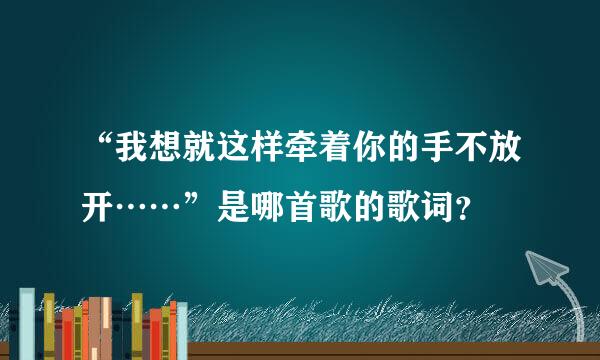 “我想就这样牵着你的手不放开……”是哪首歌的歌词？