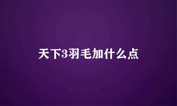 天下3羽毛加什么点