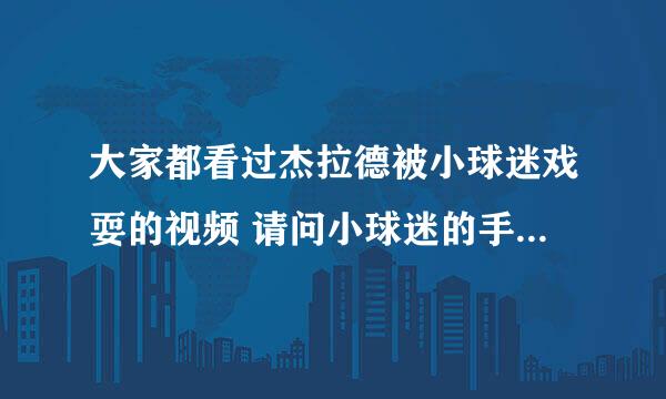 大家都看过杰拉德被小球迷戏耍的视频 请问小球迷的手势是什么意思啊？