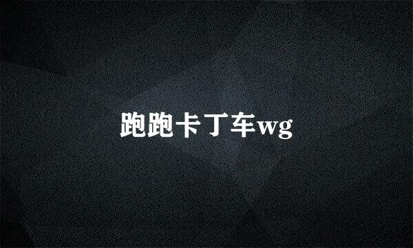 跑跑卡丁车wg