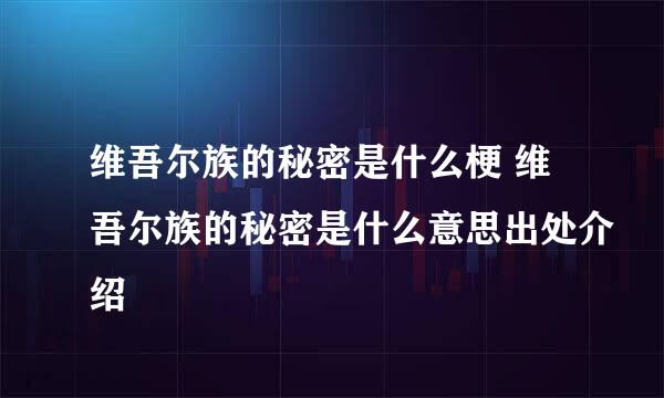 维吾尔族的秘密是什么梗 维吾尔族的秘密是什么意思出处介绍