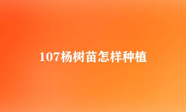 107杨树苗怎样种植