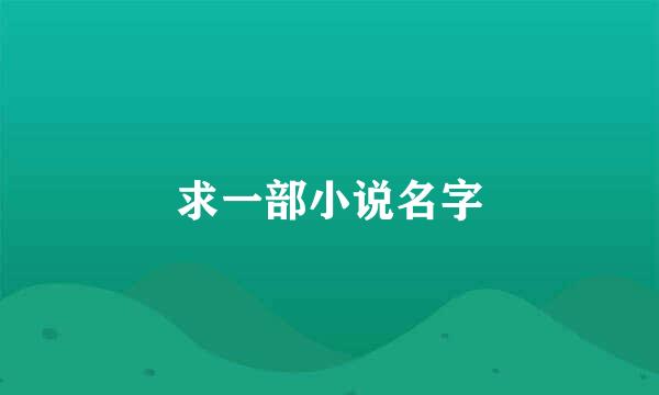 求一部小说名字