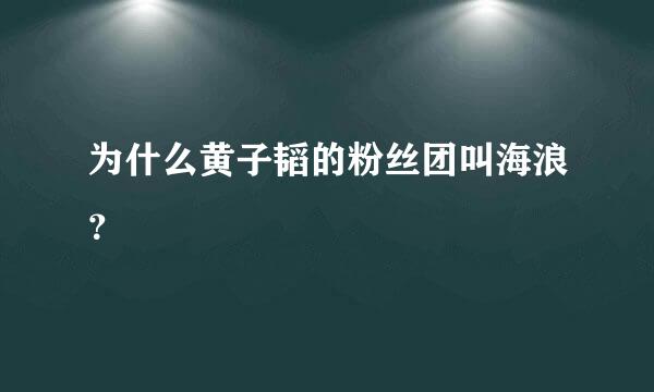 为什么黄子韬的粉丝团叫海浪？