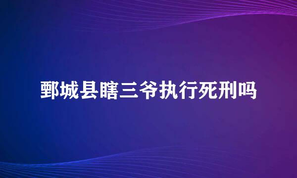 鄄城县瞎三爷执行死刑吗