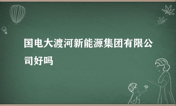 国电大渡河新能源集团有限公司好吗