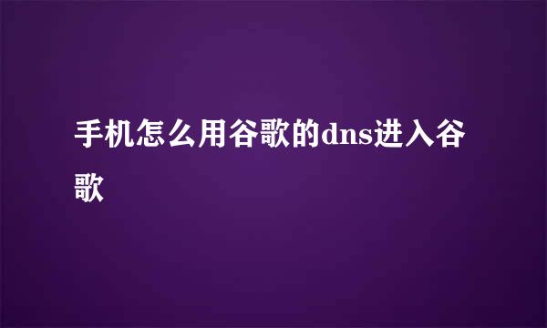 手机怎么用谷歌的dns进入谷歌